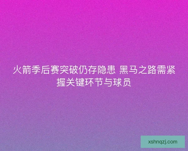 火箭季后赛突破仍存隐患 黑马之路需紧握关键环节与球员