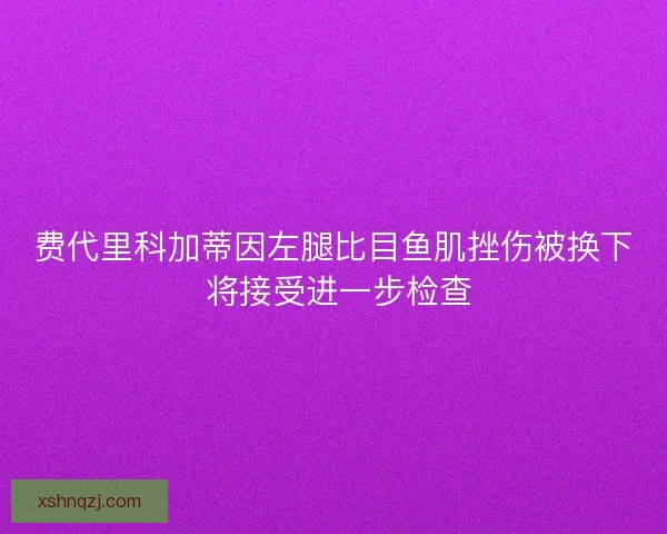 费代里科加蒂因左腿比目鱼肌挫伤被换下 将接受进一步检查