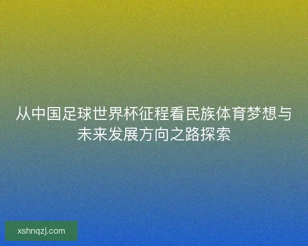 从中国足球世界杯征程看民族体育梦想与未来发展方向之路探索