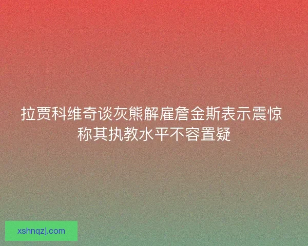 拉贾科维奇谈灰熊解雇詹金斯表示震惊 称其执教水平不容置疑