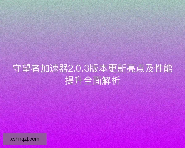 守望者加速器2.0.3版本更新亮点及性能提升全面解析