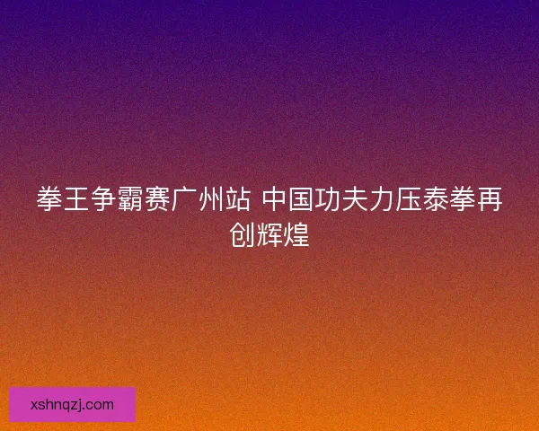 拳王争霸赛广州站 中国功夫力压泰拳再创辉煌