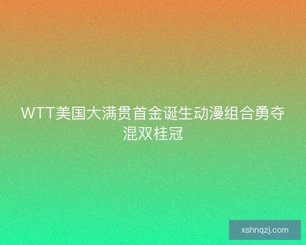 WTT美国大满贯首金诞生动漫组合勇夺混双桂冠 WTT美国大满贯首金诞生动漫组合勇夺混双桂冠