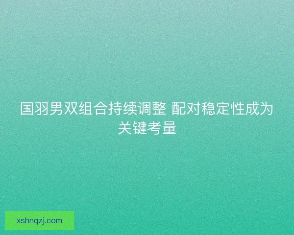国羽男双组合持续调整 配对稳定性成为关键考量 国羽男双组合持续调整 配对稳定性成为关键考量