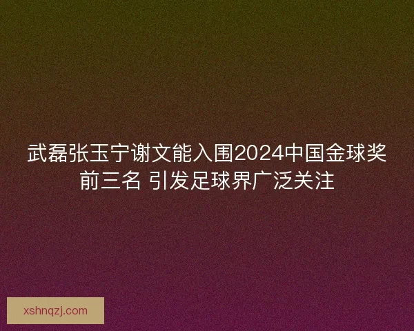 武磊张玉宁谢文能入围2024中国金球奖前三名 引发足球界广泛关注